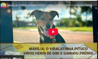 Cobertura em vídeo sobre Pituco